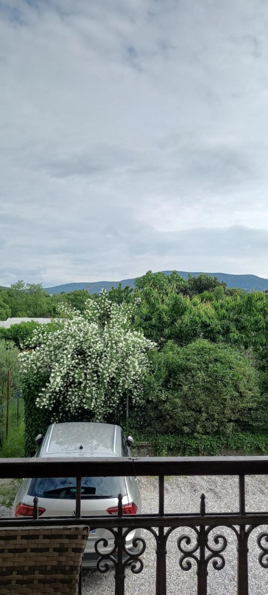 Casa Di Alice Daire Gorizia Dış mekan fotoğraf